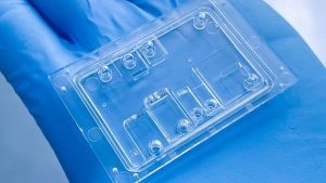 超声波喷涂技术革新细胞生物学研究 - 驰飞超声波喷涂