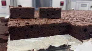 在线超声波布朗尼切块机详细说明 - 超声波刀厂家 - 驰飞超声波