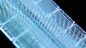 传感器上涂覆聚合物涂层 – 导电聚合物涂层 – 超声喷涂 – 驰飞超声波喷涂